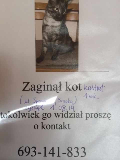 Obrazek