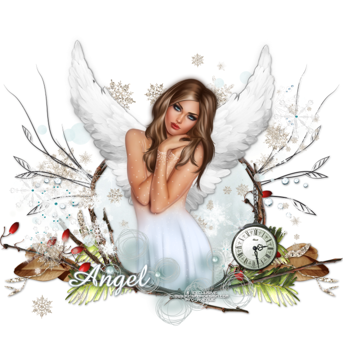  photo Chantal-entry1-PFD4S_angel_zpsdbb068ef.png