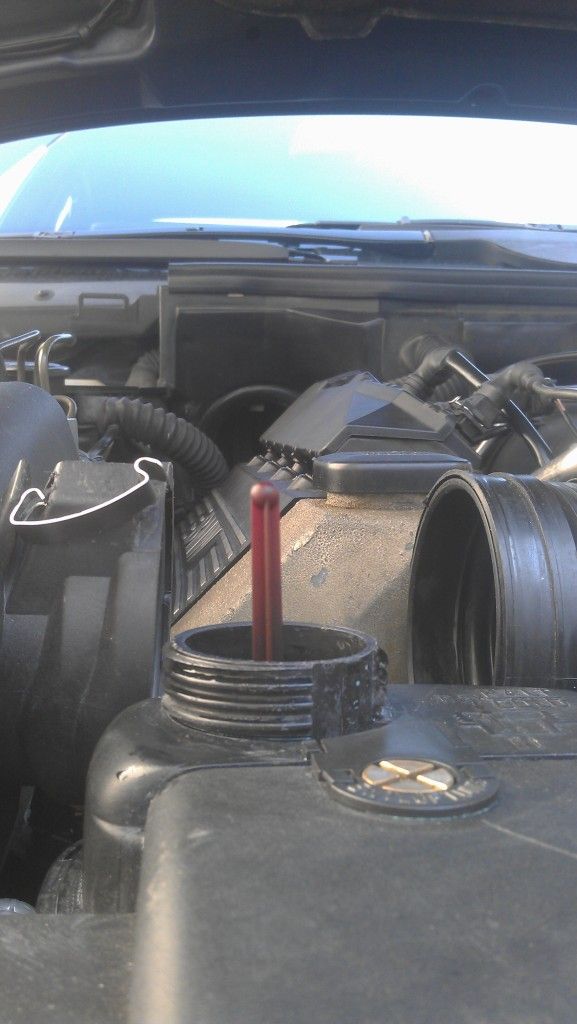 Swollen radiator hoses