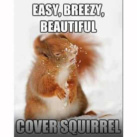 EasyBreezySquirrel_zpsaefdefda.jpg