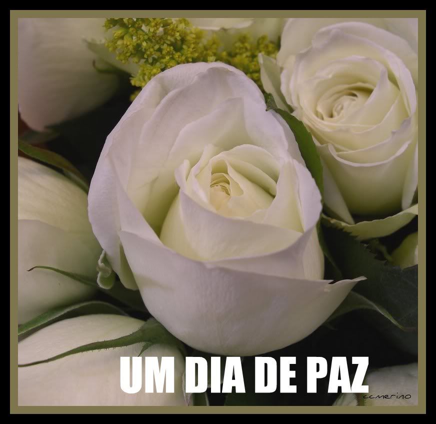 2327842940_c13a02eeee_b-1.jpg picture by presente