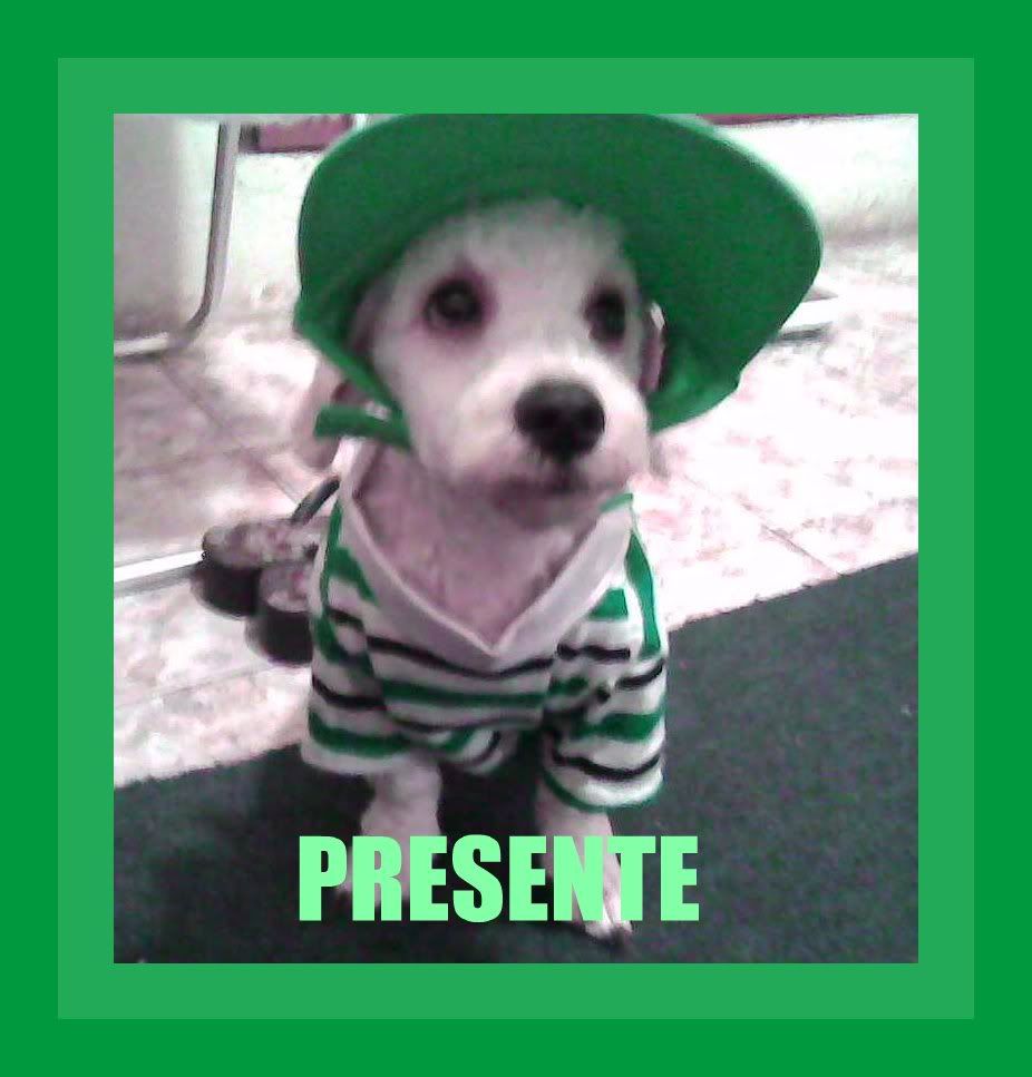 TODYNHOTOSADO4.jpg picture by presente