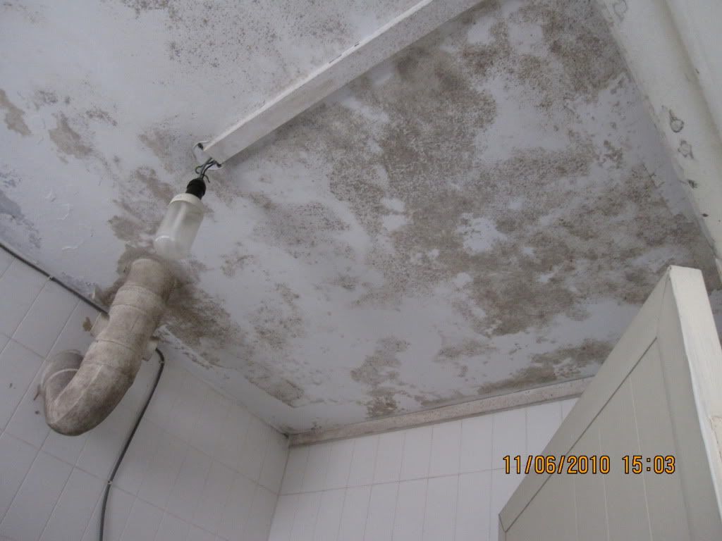 MBRToiletCeiling.jpg